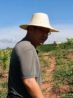 农业人叶涛，50多岁通讯人跨界搞农业，他要用1000万打造一个梦。